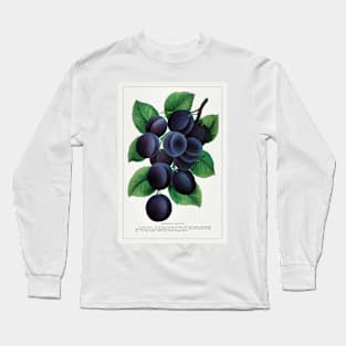 Mooer's Arctic Plum Lithograph (1900) Long Sleeve T-Shirt